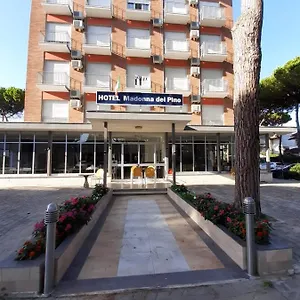 Hotel Madonna Del Pino, Cervia